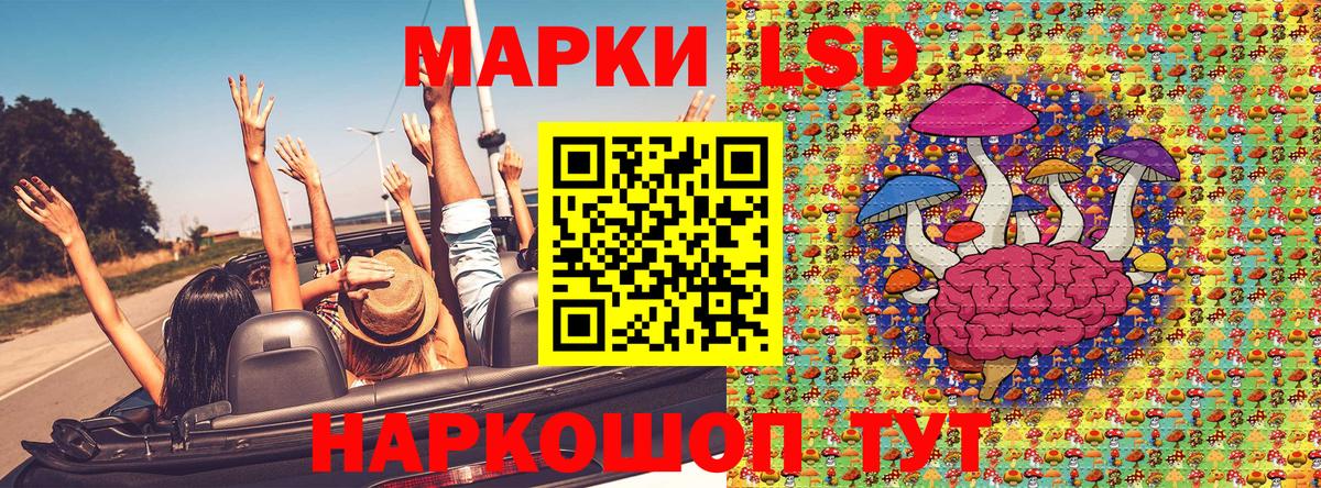 АМФЕТАМИН   Донецк  COCAIN  Вход с VPN  LSD-25  Alpha PVP СОЛЬ кристаллы  Где купить наркотики?  Меф МЯУ МЯУ   ГАШИШ  Канабис 